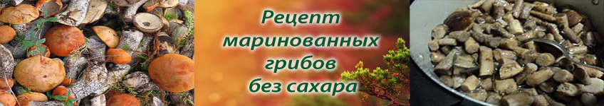 Рецепт маринованных грибов без сахара